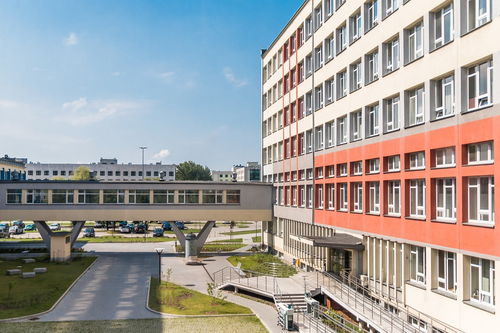 开云官网登录-中国青少年篮球课程体系现代化建设，《中国青少年篮球训练教学大纲(2013版)》