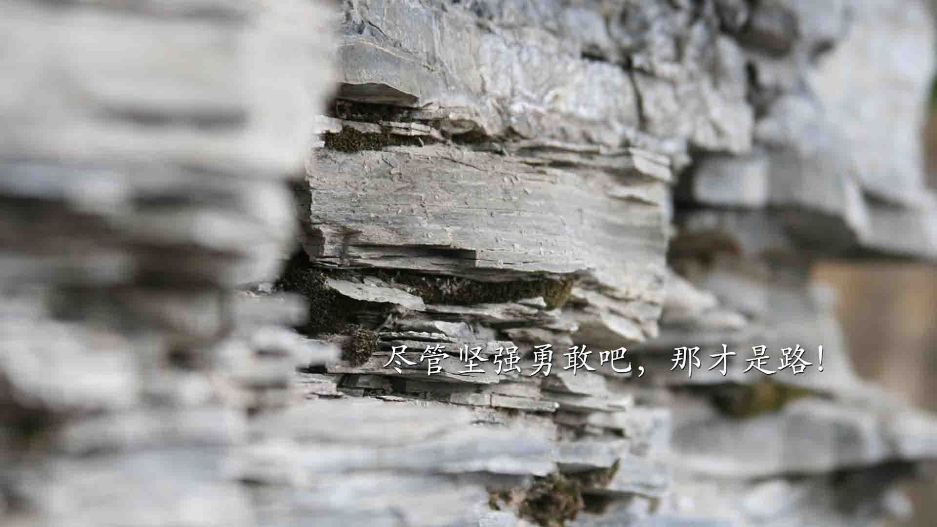 PSG豪华阵容挑战世界杯冠军梦，psg哪个队