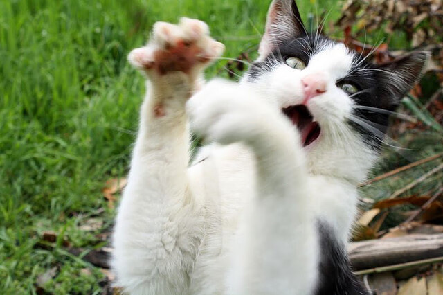 奥预赛中国足球复仇 数据分析成焦点,国足奥运比赛