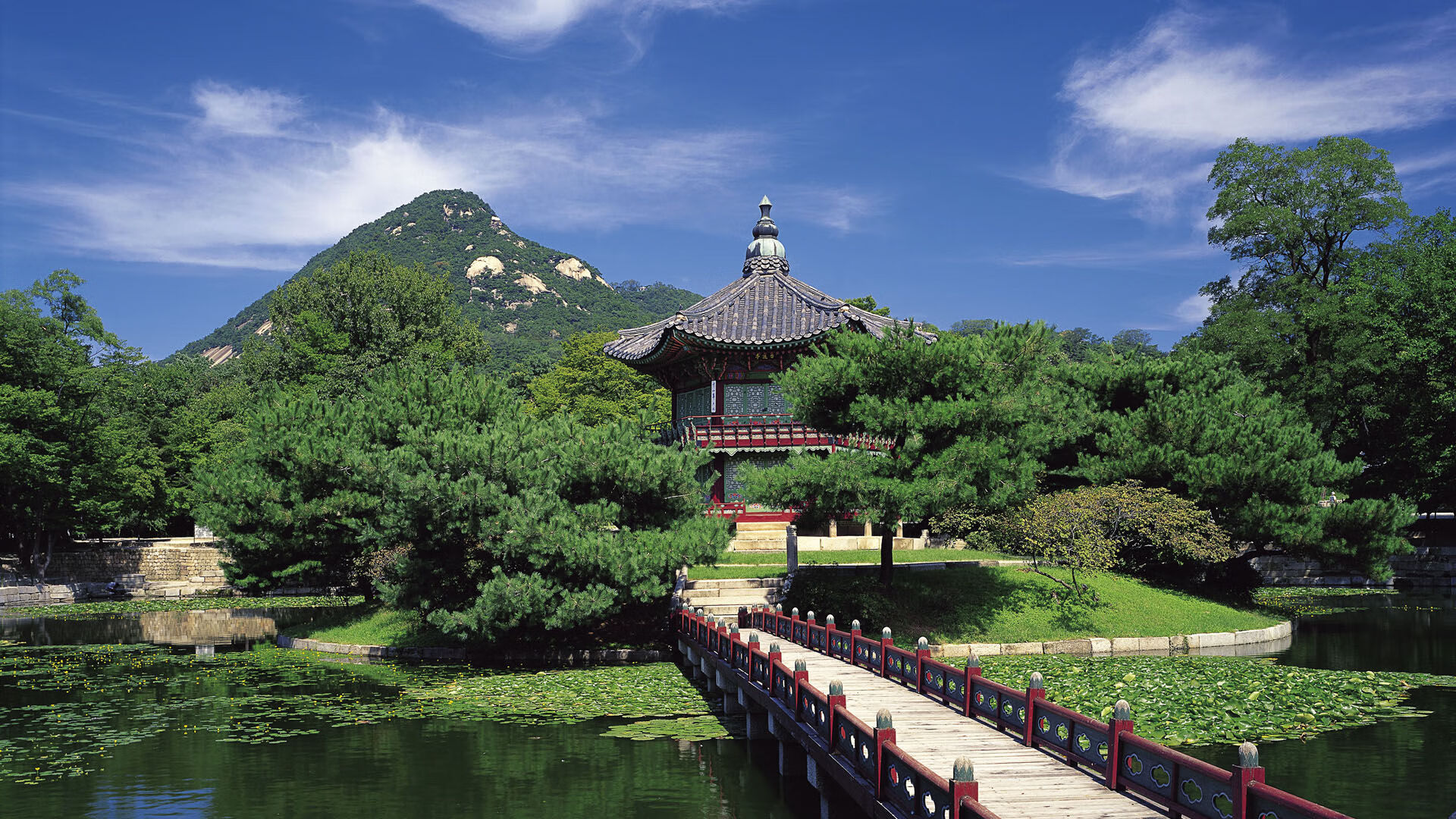 波兰队赛制解读：团体赛中的灵活应对与战术创新，波兰队阵型