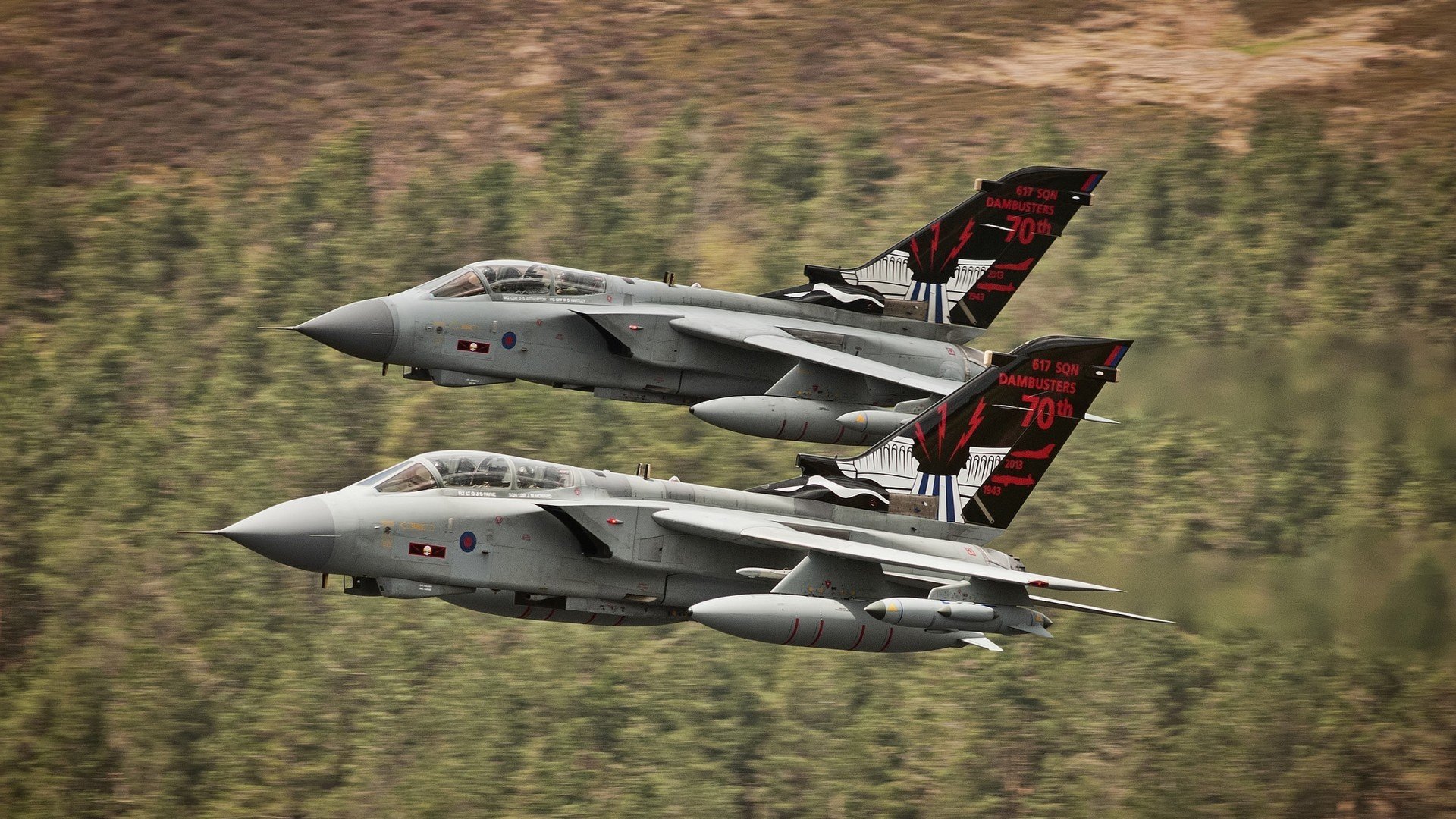 “萨尔·巴赫击破障碍，带领南非羚羊队击败强敌”