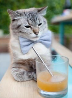 东契奇开场连得十分帮助独行侠建立优势,东契奇46分独行侠轻取鹈鹕