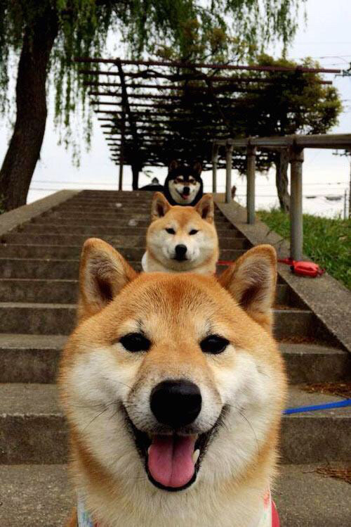 中国足球国家队后备力量结构持续优化，国足后备人才